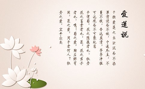 ������˵����ѧ��˼(15ƪ)