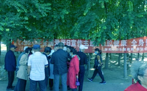 ȫ��������������ܽ���15ƪ