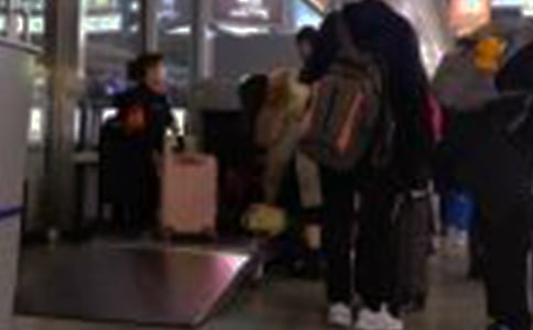 ����Ա���˹����ܽ�ģ��