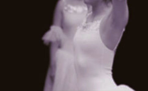 ��СӢ�ۺͰ��ٹ����������