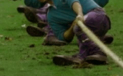 ��ѧ���κӱ����߻���