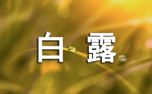 白露安好问候语合集39句