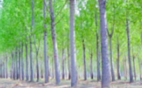 �����ѧ��˼(ͨ��15ƪ)