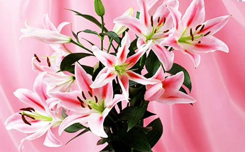 �������ϵİٺϻ����������