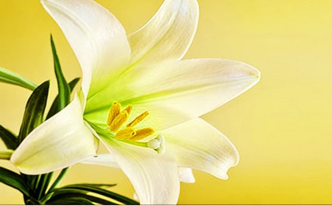 �������ϵİٺϻ��������