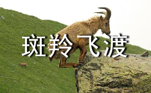 ����ɶɶ���С�������