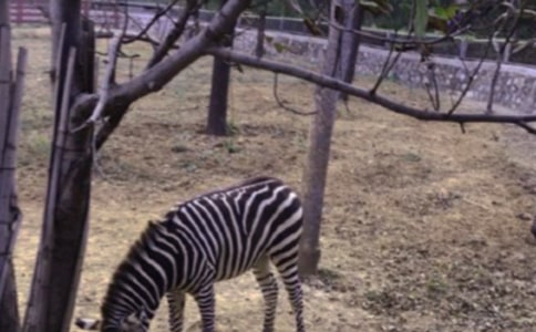 С�లȫ��·�ϵİ����߽̰�