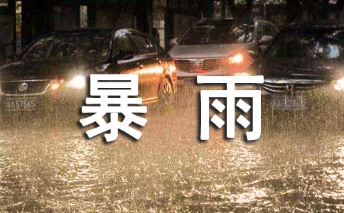 《在烈日和暴雨下》教案