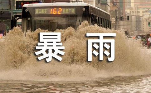 暴雨筛读后感