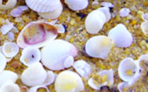 [ͨ��]���Ƕ����