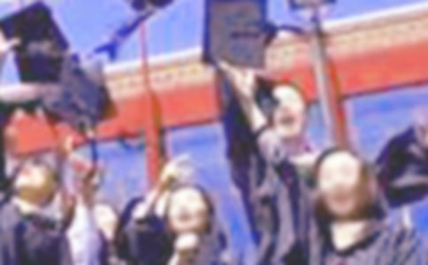 ��ҵ����������ʵ��(13ƪ)