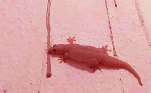 ��С�ڻ���β�͡���ѧ��˼������15ƪ��