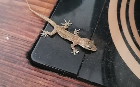 ��С�ڻ���β�͡���ѧ���15ƪ