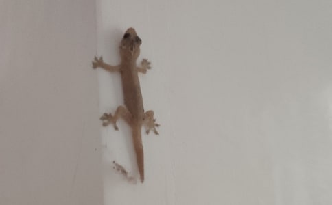 С�ڻ���β�ͽ�ѧ��˼