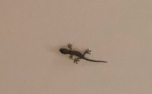 ��С�ڻ���β�͡��̰�