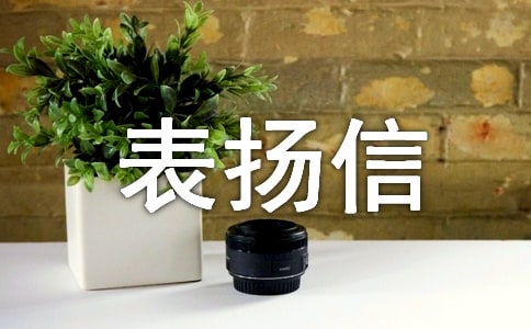 �񾯱����Ű�ƪ