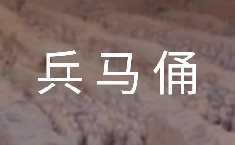 《秦兵马俑》教学反思