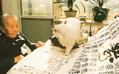 ������ɢ�ļ��и�