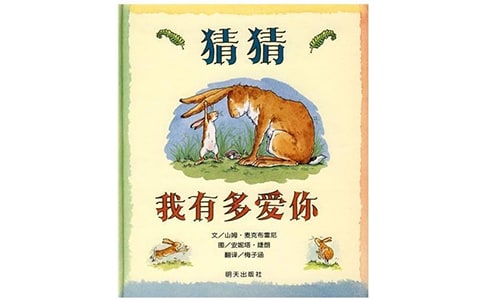 《猜猜我有多爱你》教学设计
