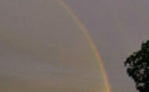 С�����Բʺ�̰�