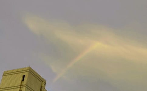 彩虹色的花教案