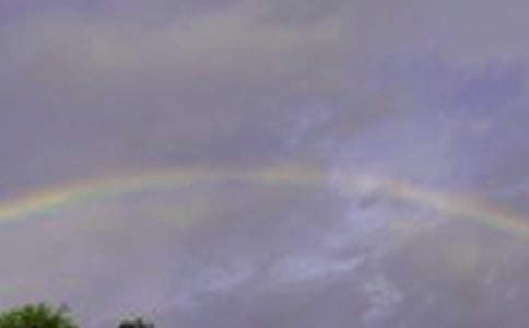 ���ʺ硷�̰�