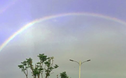 �����Ĳʺ�̰�