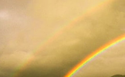 ���ʺ硷��ѧ��˼