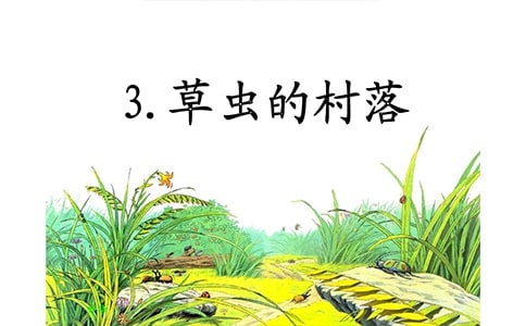 《草虫的村落》教学设计15篇【精品】