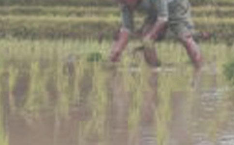 ����������ѧ���