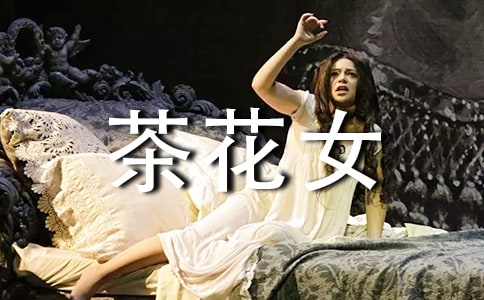 茶花女读后感范文