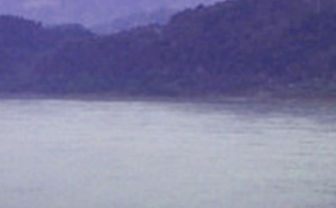 ����ѡ���������ߺš��ۺ��