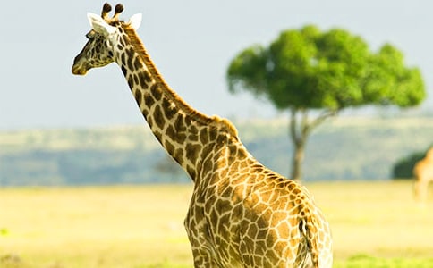 ����¹��С���ѧ��˼