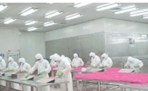 ����ά��ʵϰ�ĵ�