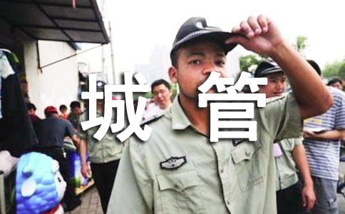 城管个人工作总结