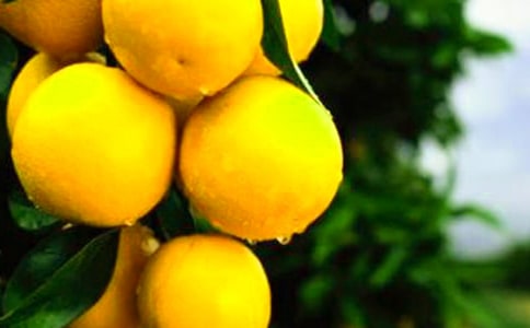 �а�̰������ӡ�