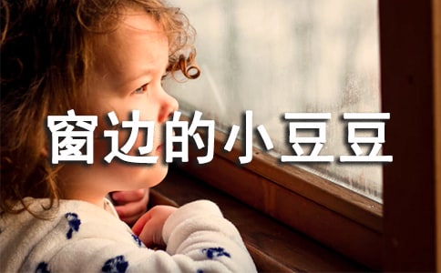 ����ѡ�����ߵ�С���������