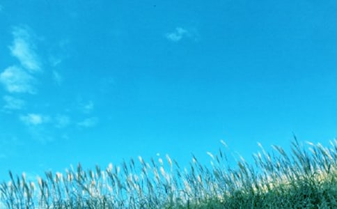 �����绯�꡷�ۺ��11ƪ(��)