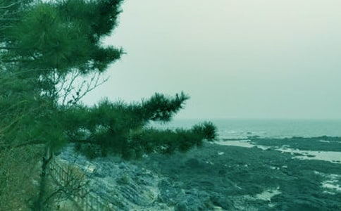 ���绯��ۺ��10ƪ