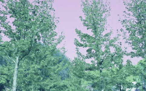 ������Խ̰������硷