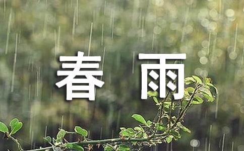 大班语言教案《春雨》