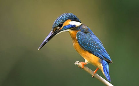 �����ѧ��˼(15ƪ)