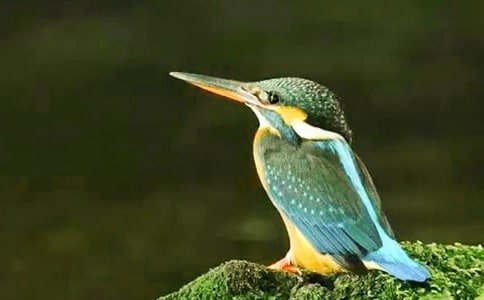 �����񡷵ڶ���ʱ��ѧ���ͨ��