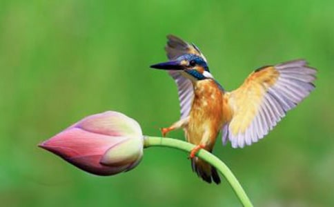 [��]�����񡷽�ѧ��˼