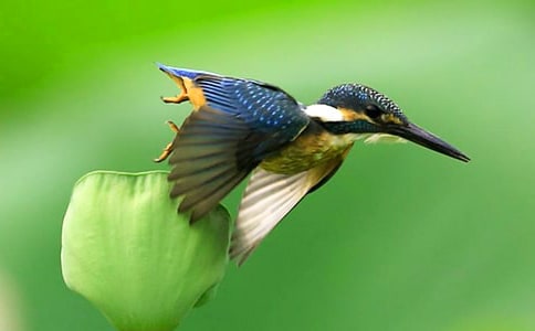 �����ѧ��˼15ƪ