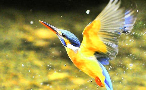 �����񡷽�ѧ��˼����(27ƪ)