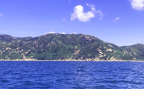 《大海睡了》教学设计