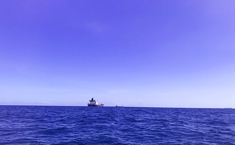 《我看见了大海》教学设计