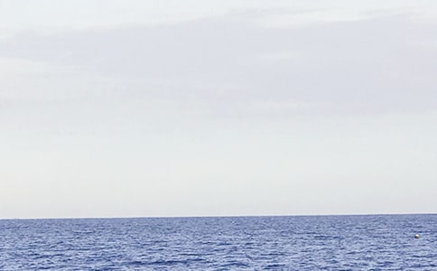 大海睡了说课稿