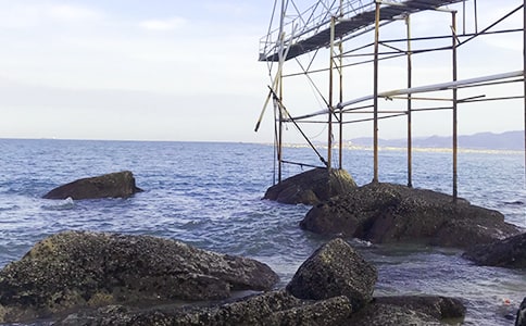 ���泯�󺣣���ů�����������